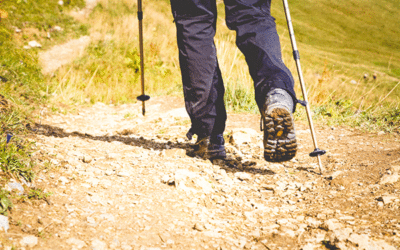 Il Nordic Walking